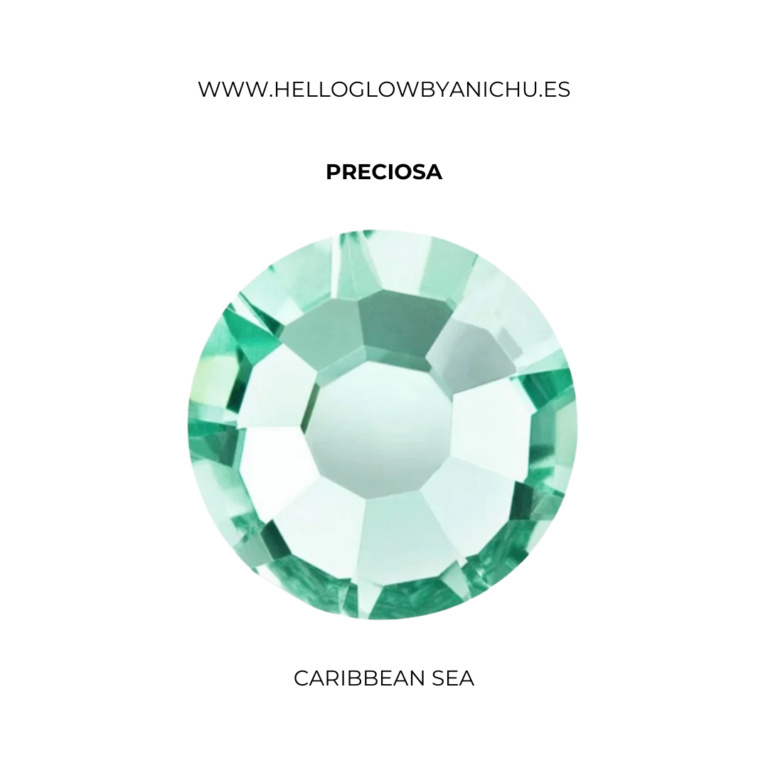 Preciosa Round - Caribbean Sea